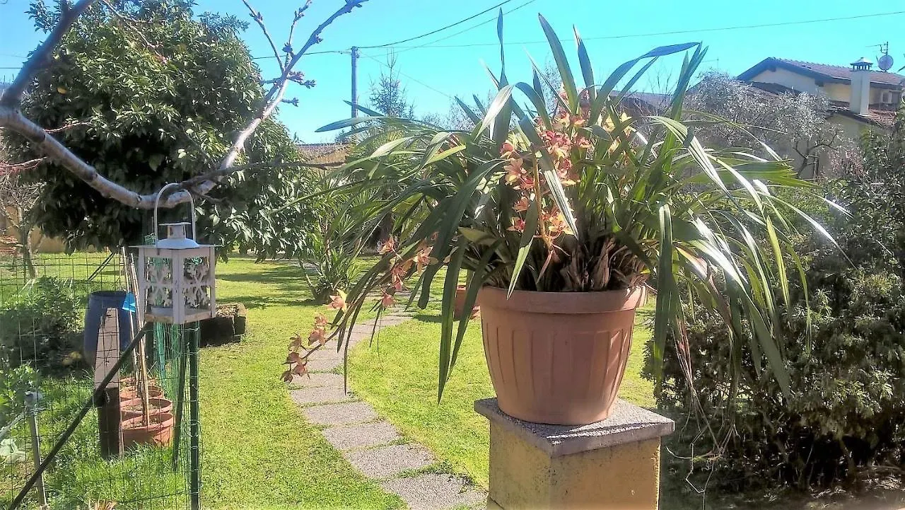 מרינה די מסה B&B Villa C'Era Una Volta לינה וארוחת בוקר מרינה די מסה