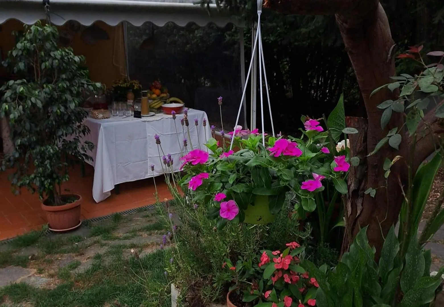 לינה וארוחת בוקר מרינה די מסה B&B Villa C'Era Una Volta